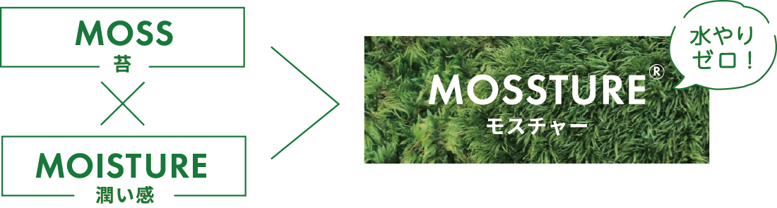 苔×潤い感 水やりゼロ
