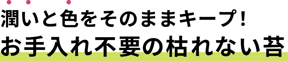 生苔の潤いと色をそのままに、苔アートを長く楽しめる！