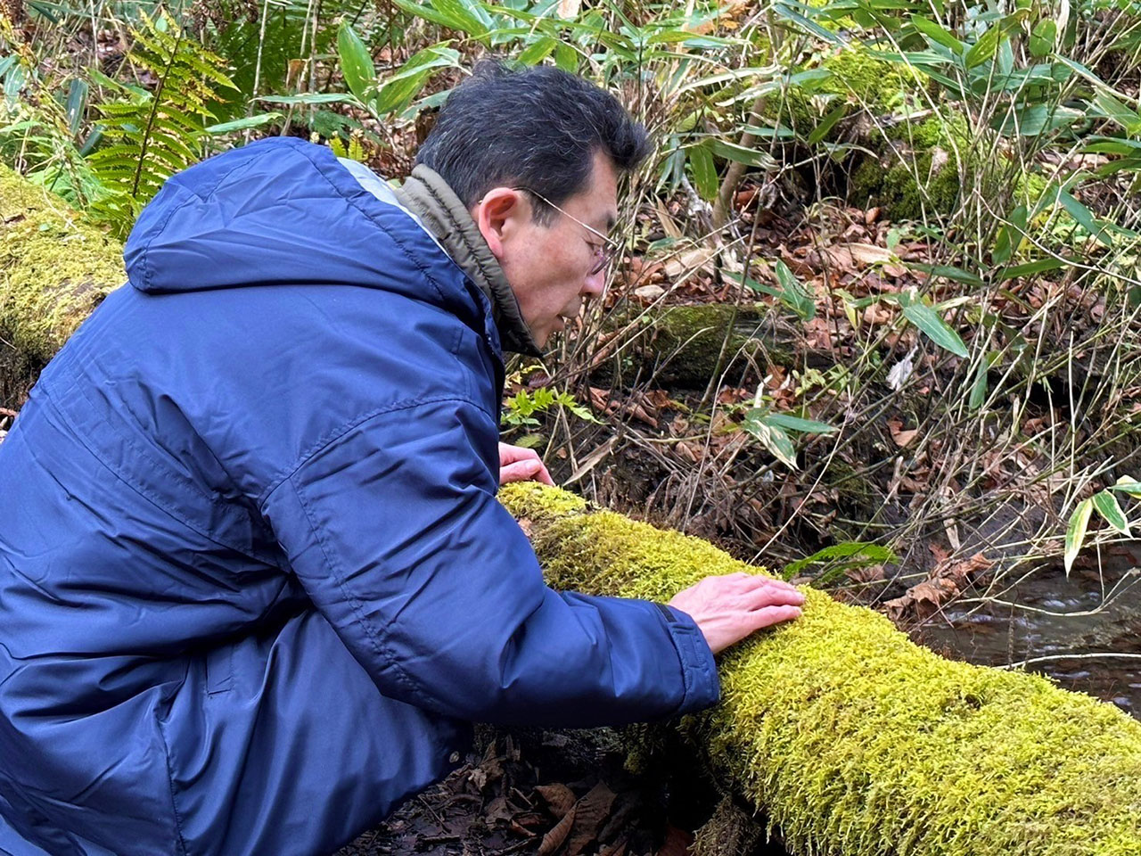 奥入瀬渓流ホテル 苔アート制作 山縣健志