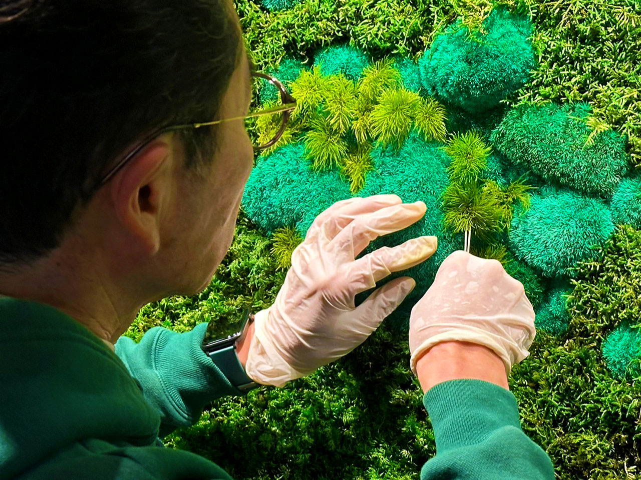 奥入瀬渓流ホテル 苔アート制作 山縣健志