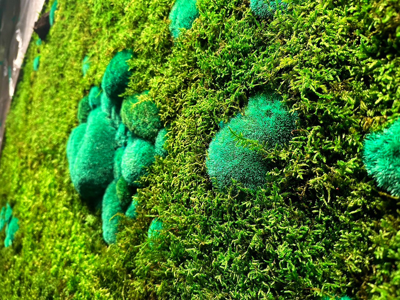 奥入瀬渓流ホテル 苔アート制作 山縣健志