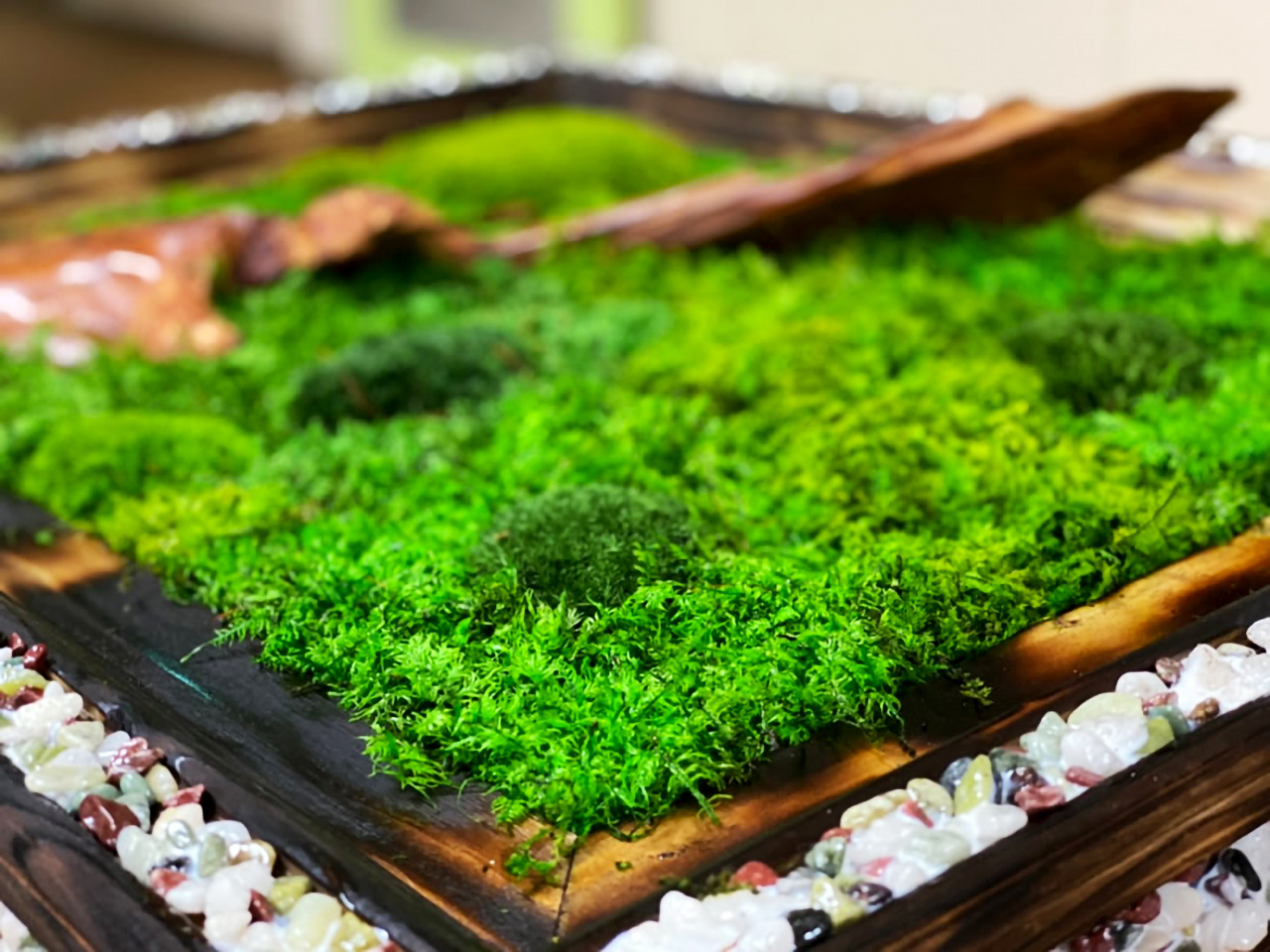 山縣健志 - TAKESHI YAMAGATA - 苔アート