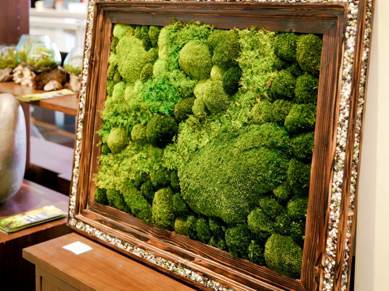 山縣健志 - TAKESHI YAMAGATA - 苔アート