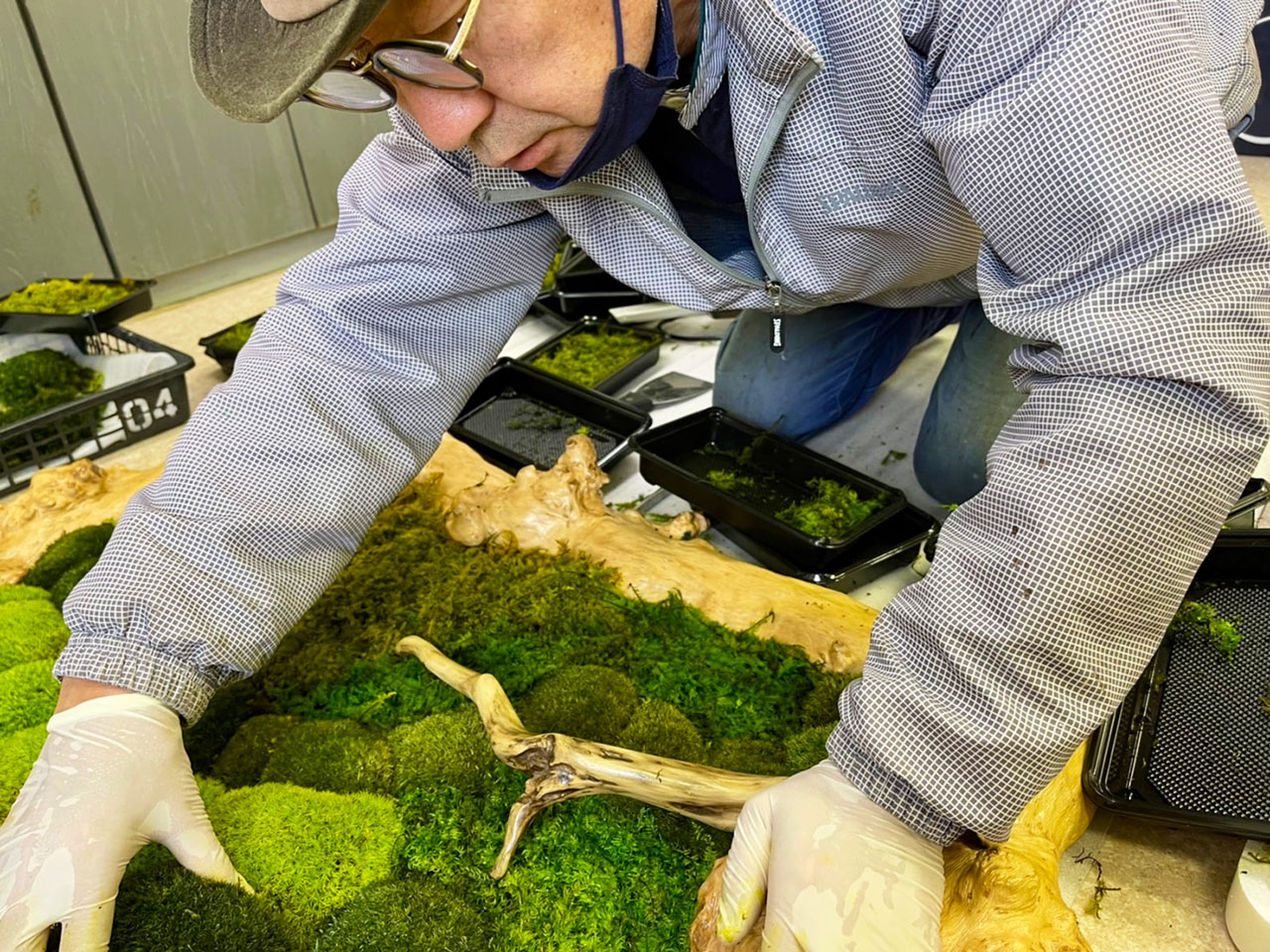 山縣健志 - TAKESHI YAMAGATA - 苔アート